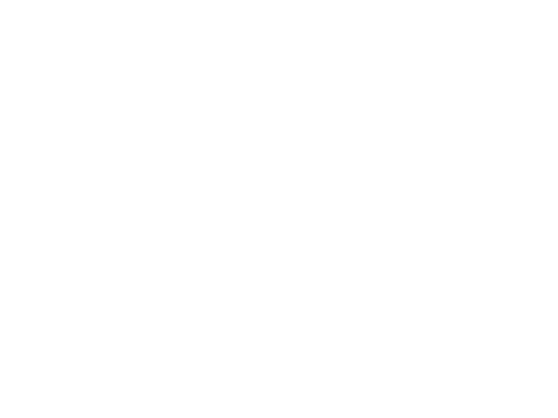 Mane Match Logo